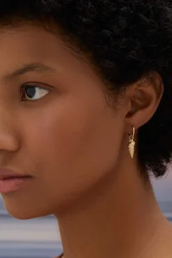 Dipua Argola Marinho