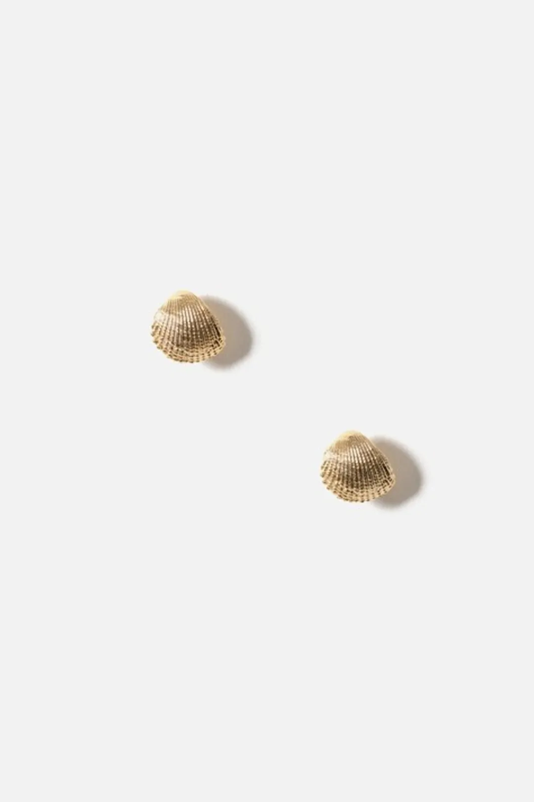 Dipua Brinco Shell